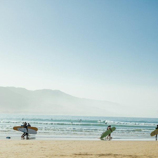 Group of surfers on the beach